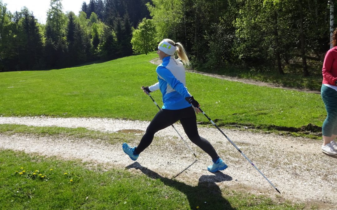 Seminar im Kurzformat: Nordic Walking