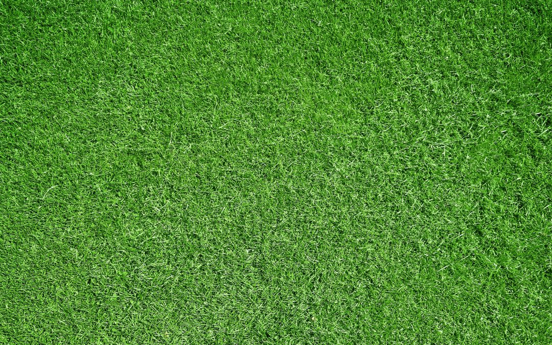 Einladung zum Forum „Rasensysteme in der Diskussion – Status quo und Perspektiven “