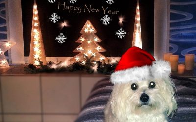 Geschäftsstelle über Weihnachten geschlossen