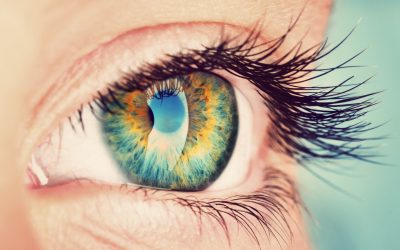 Augenblick mal! Übungen für die Augen