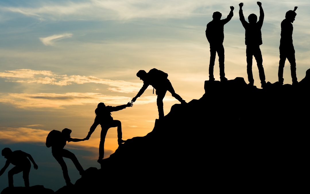 Sportbund Pfalz-Mitgliederstatistik 2023: ein großes Plus für den Pfalzsport