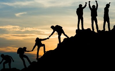 Sportbund Pfalz-Mitgliederstatistik 2023: ein großes Plus für den Pfalzsport